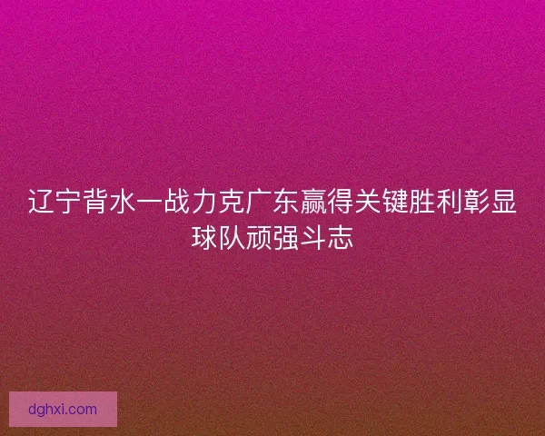 辽宁背水一战力克广东赢得关键胜利彰显球队顽强斗志